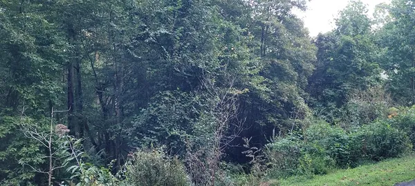 $42,000 | 0 Chatuge Village Drive, Hayesville, NC 28904