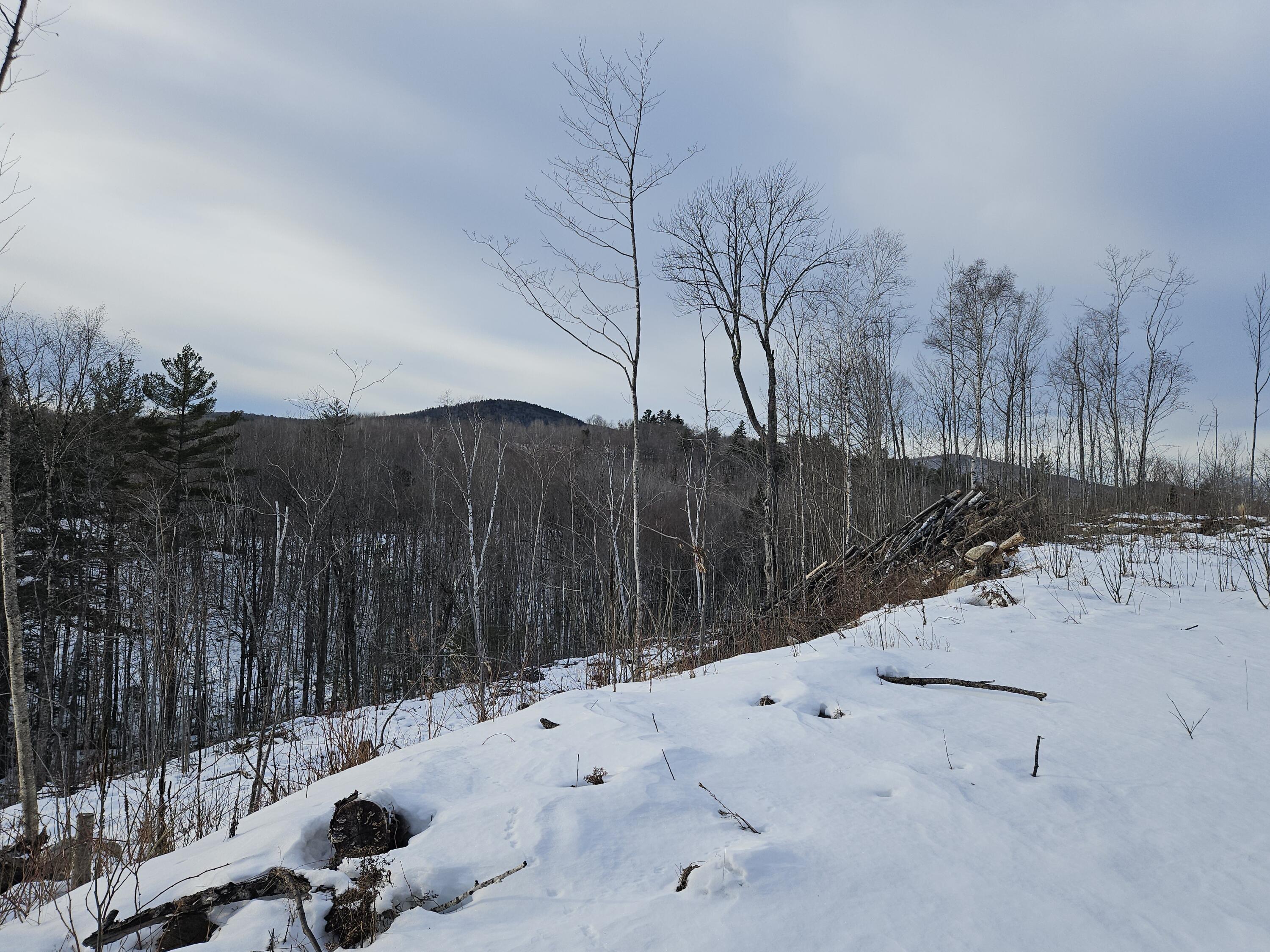 Lot #135 Pratt Road Wilton, ME 04294 - Photo 18 of 22 20250127_145008