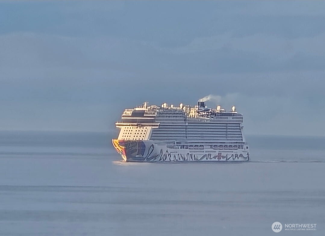 103 Island View Road Port Angeles, WA 98362 - Photo 40 of 40 a close view of flowerpot