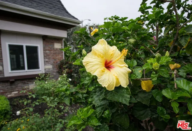 $558,000 | 8130 Redlands Street, Unit 14, Playa del Rey, CA 90293