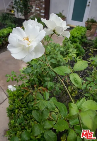 $558,000 | 8130 Redlands Street, Unit 14, Playa del Rey, CA 90293