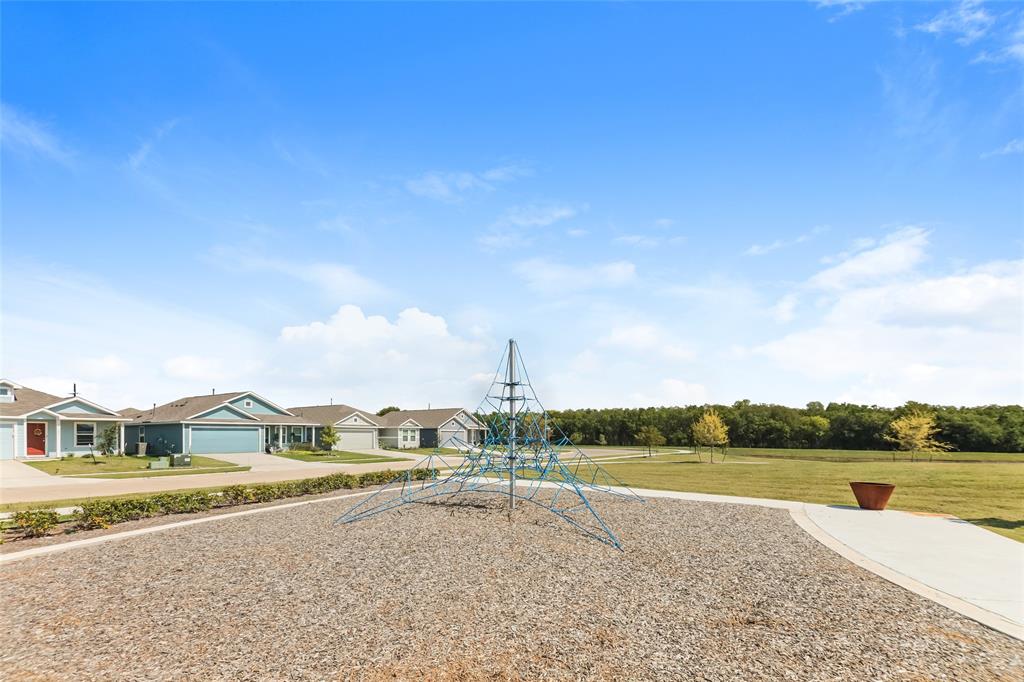 807 Ginkgo Way Princeton, TX 75407 - Photo 20 of 22 a view of a lake with a big yard
