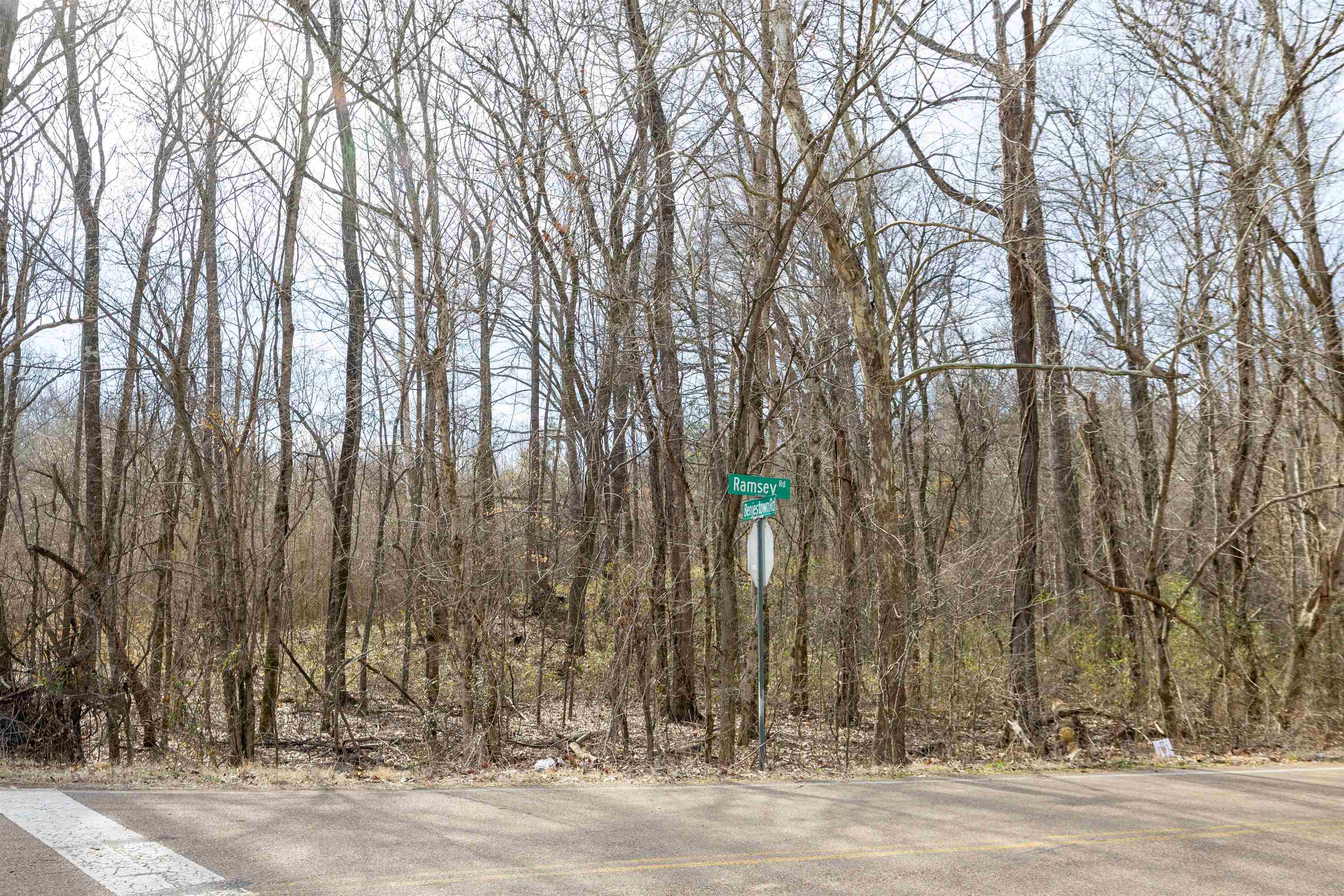 5155 Benjestown Road Memphis, TN 38127 - Photo 4 of 36 a street view with large trees
