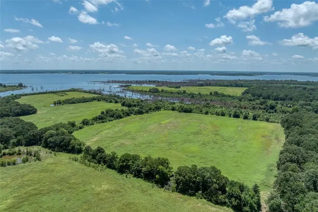 a view of a field with an ocean