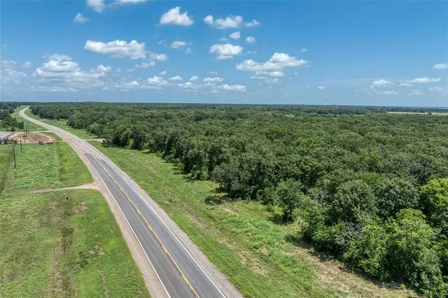 a view of a lush green space