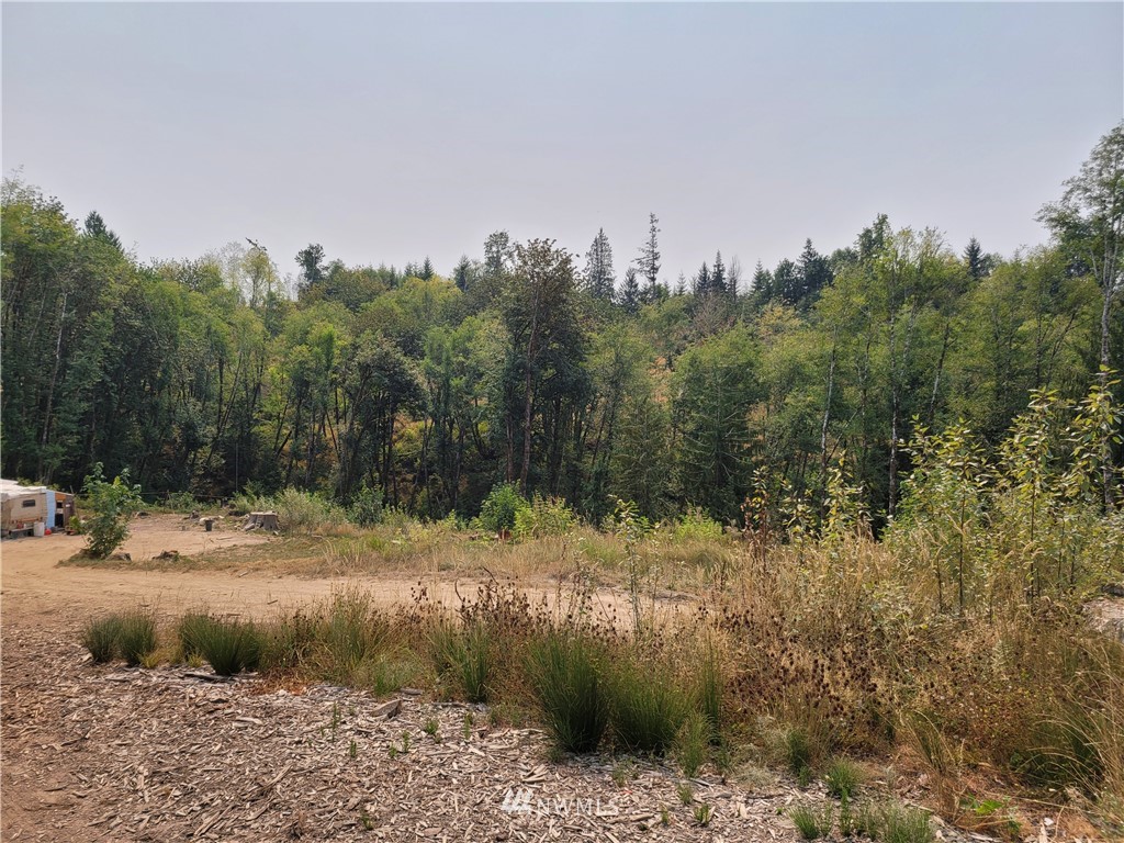 2050 Holcomb Road Kelso, WA 98626 - Photo 1 of 14 Gallery Image 1