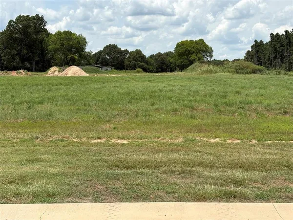 a view of a lake with a mountain