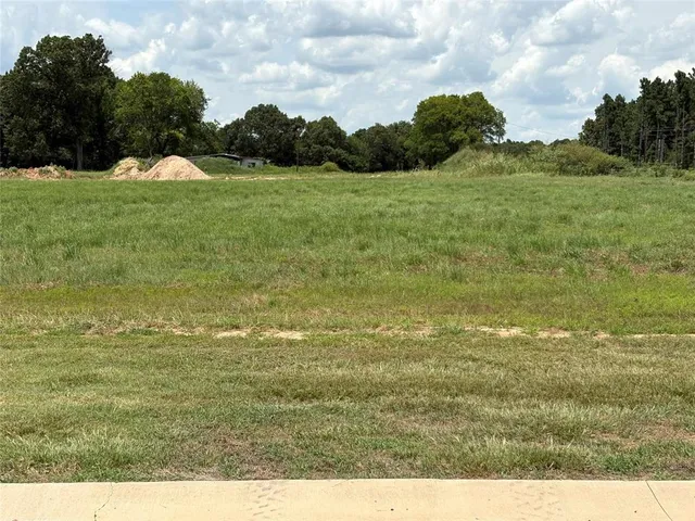 a view of a lake with a mountain