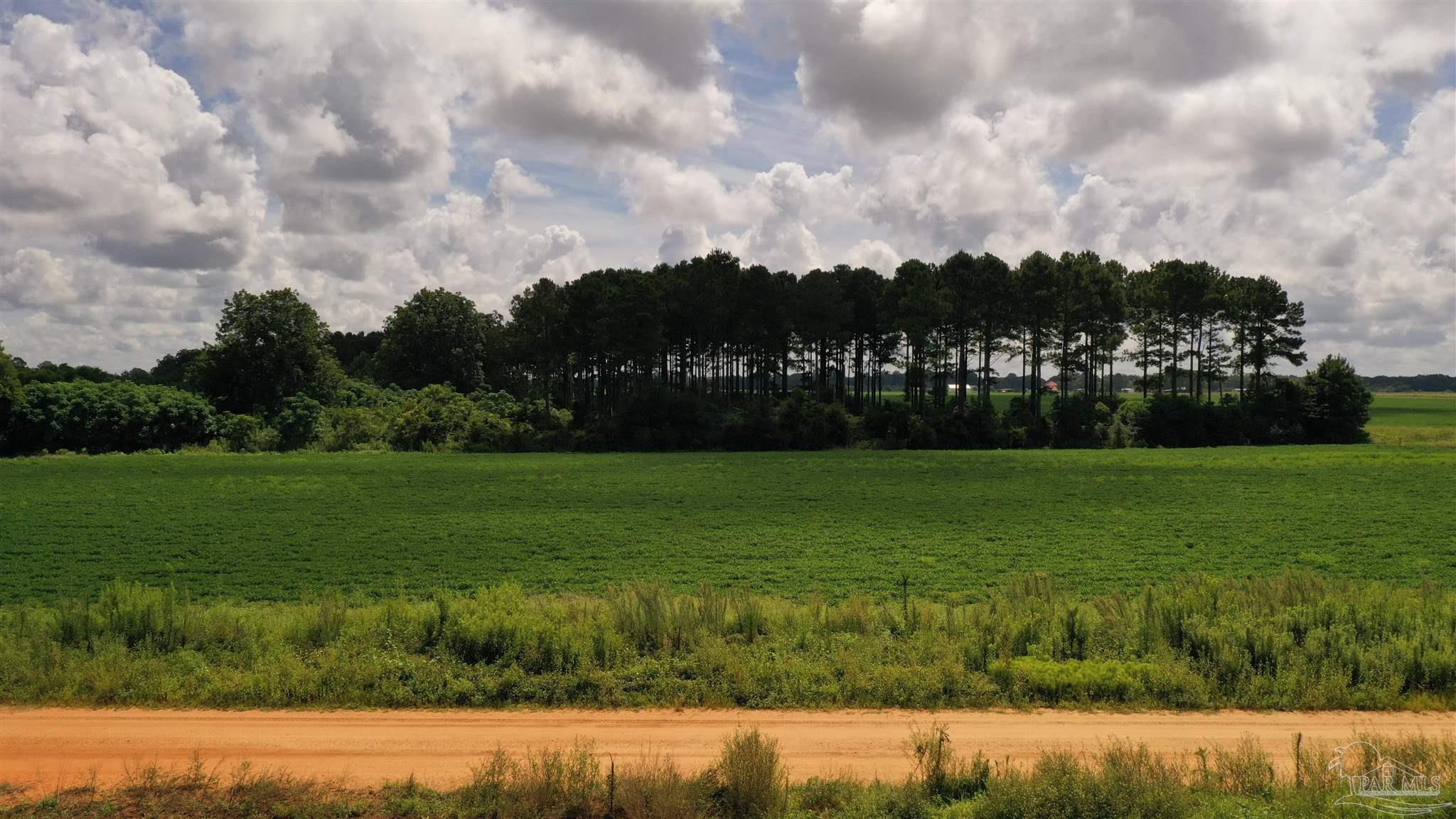 2 Mack Pond Road, Unit LOT #2 Atmore, AL 36502 - Photo 21 of 30