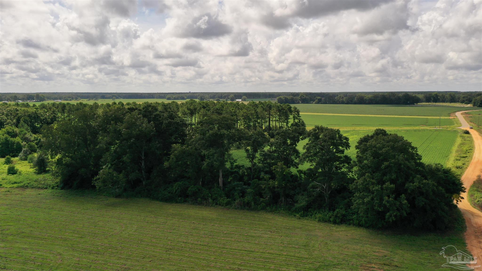 2 Mack Pond Road, Unit LOT #2 Atmore, AL 36502 - Photo 5 of 30