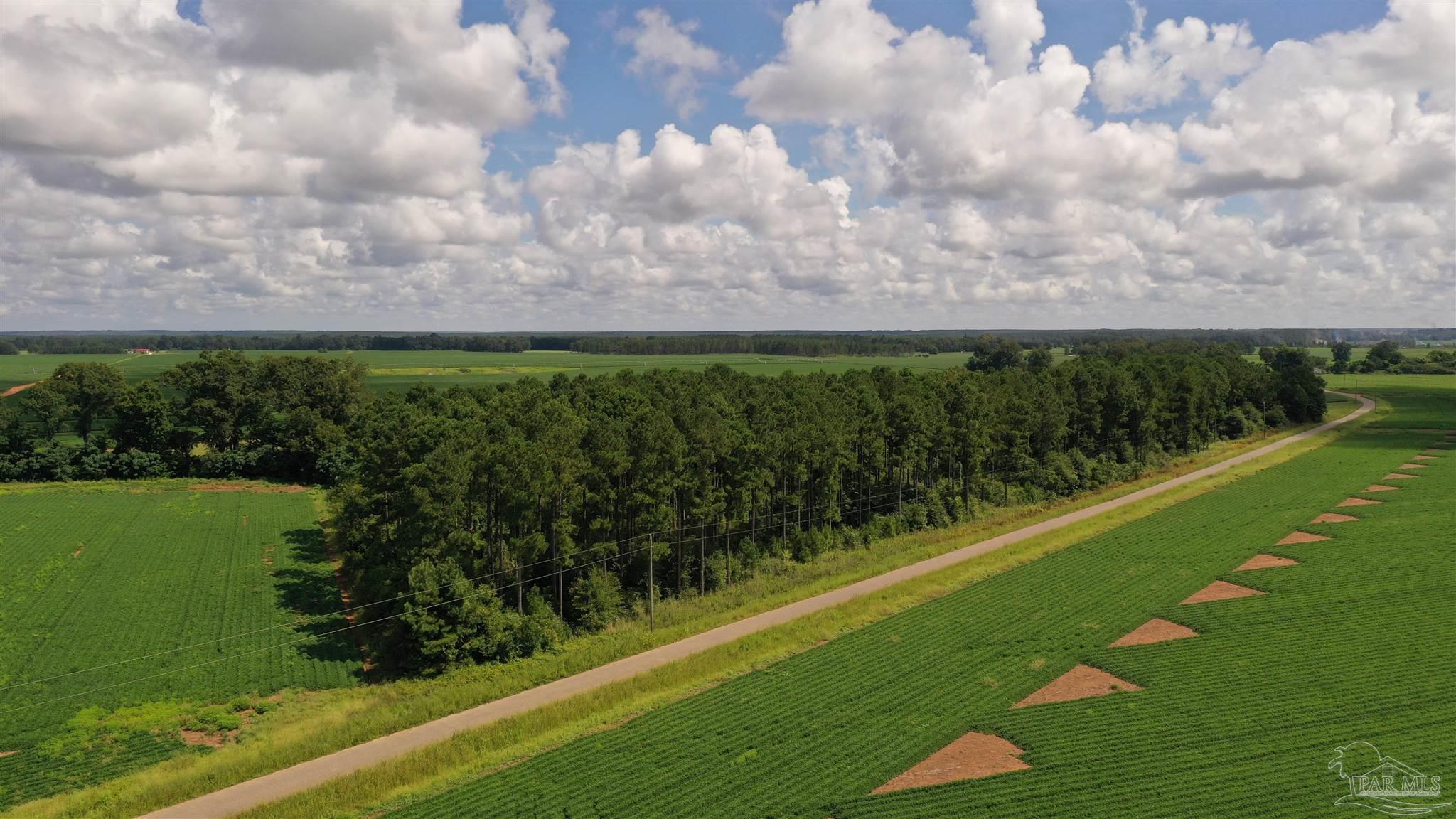 2 Mack Pond Road, Unit LOT #2 Atmore, AL 36502 - Photo 7 of 30