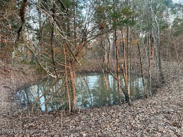 1180 D Pattons Creek Road Pendleton, KY 40055 - Photo 6 of 8 image005