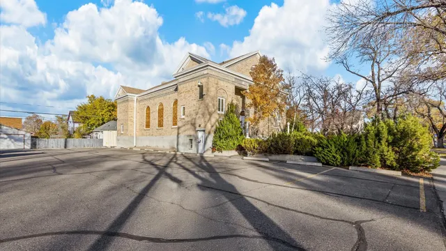 a street view with large trees