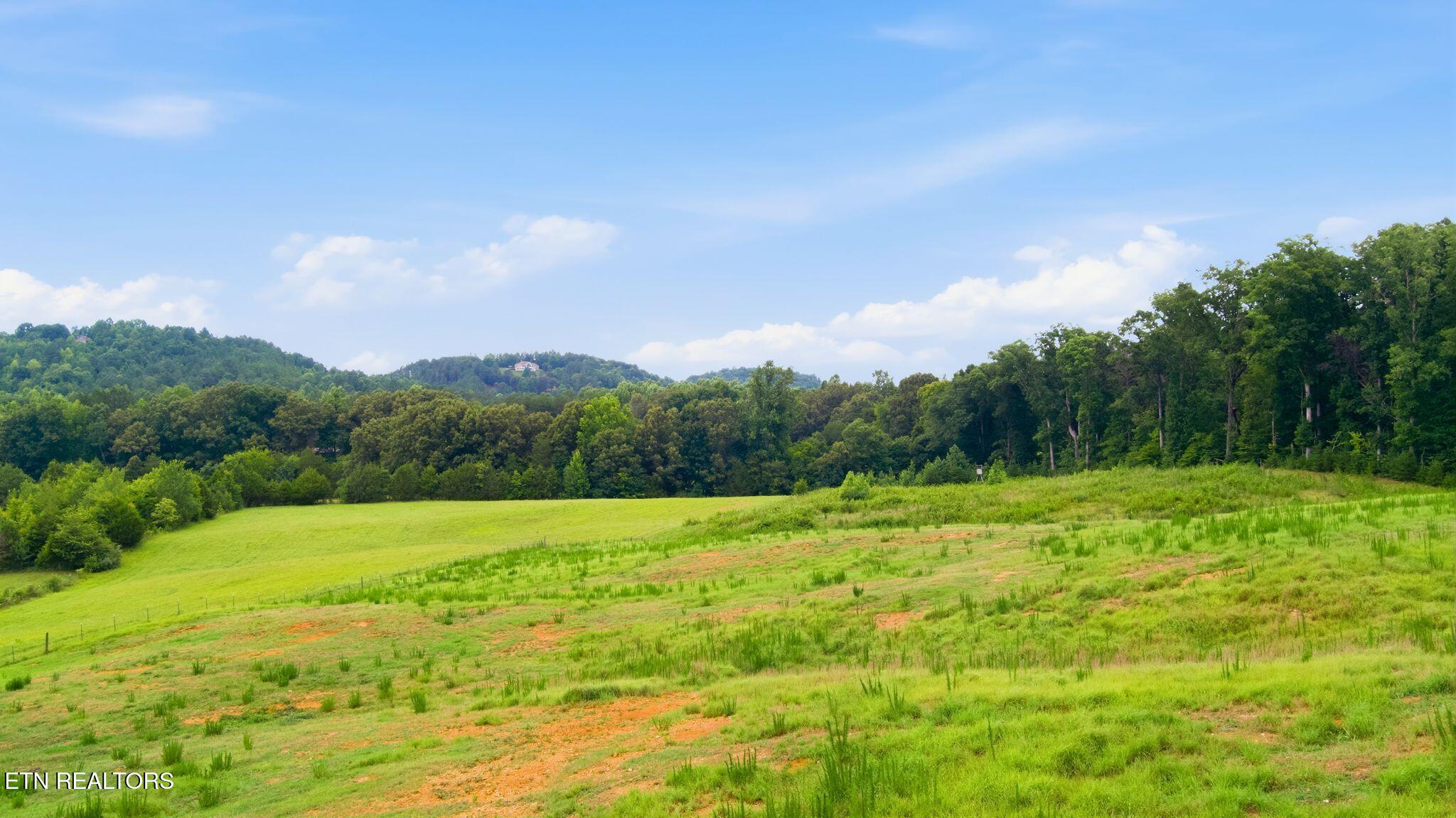 757 County Road 757 Riceville, TN 37370 - Photo 17 of 24 rp2607103-1010