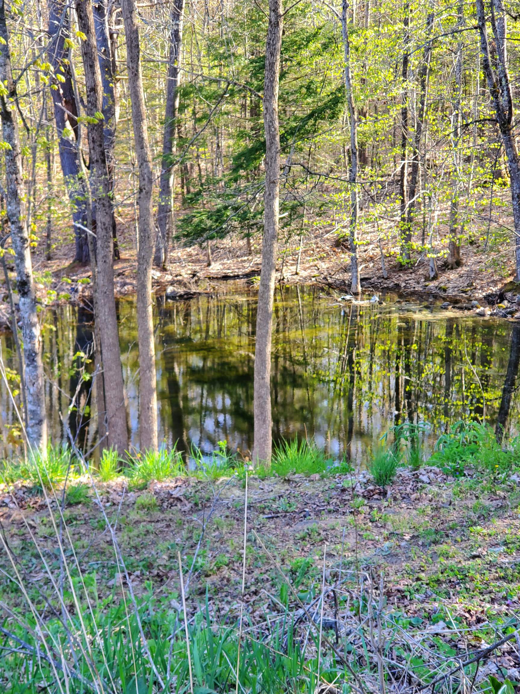 367 Willey Road Milton, NH 03852 - Photo 19 of 24 Gallery Image 19