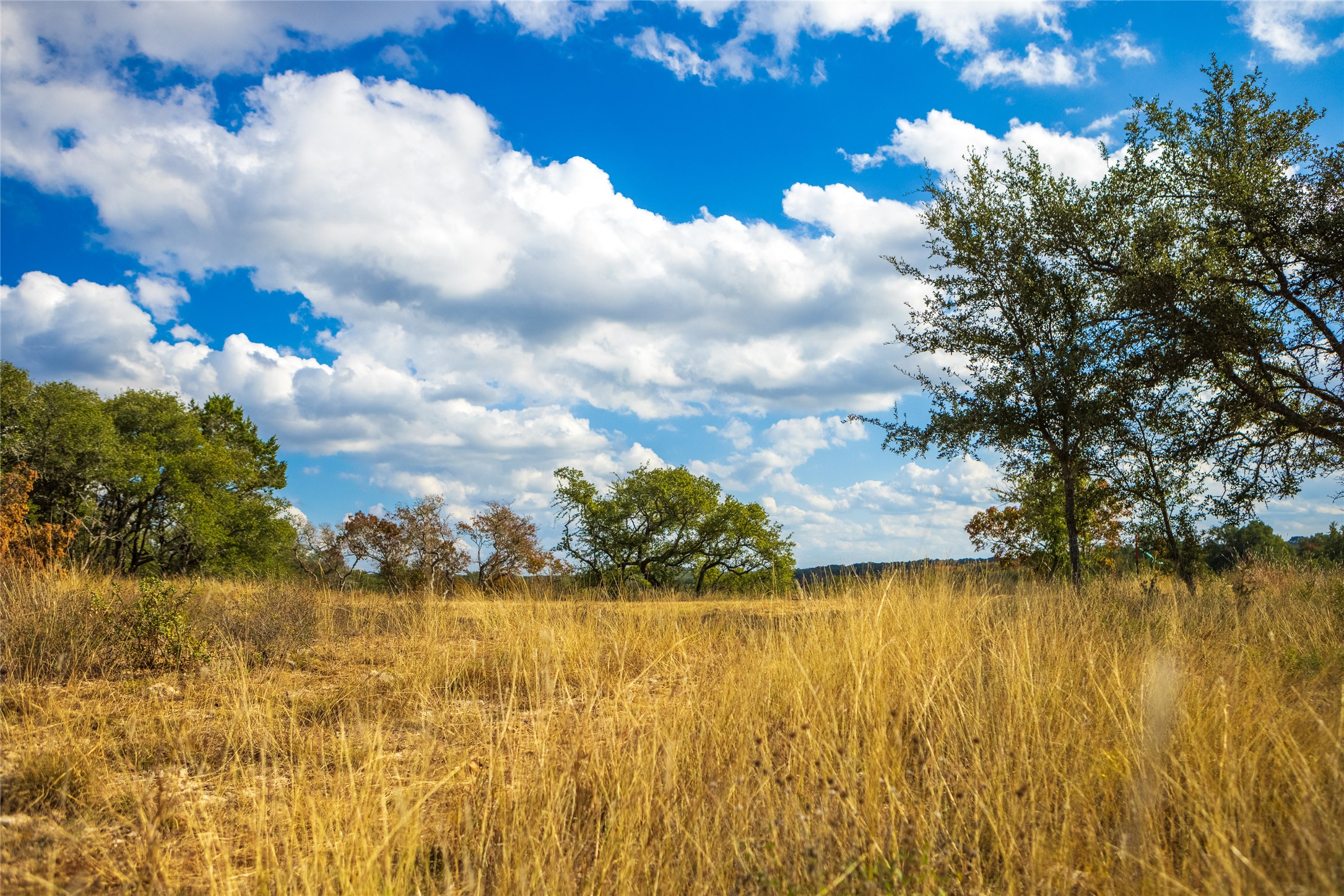 a view of a lake view
