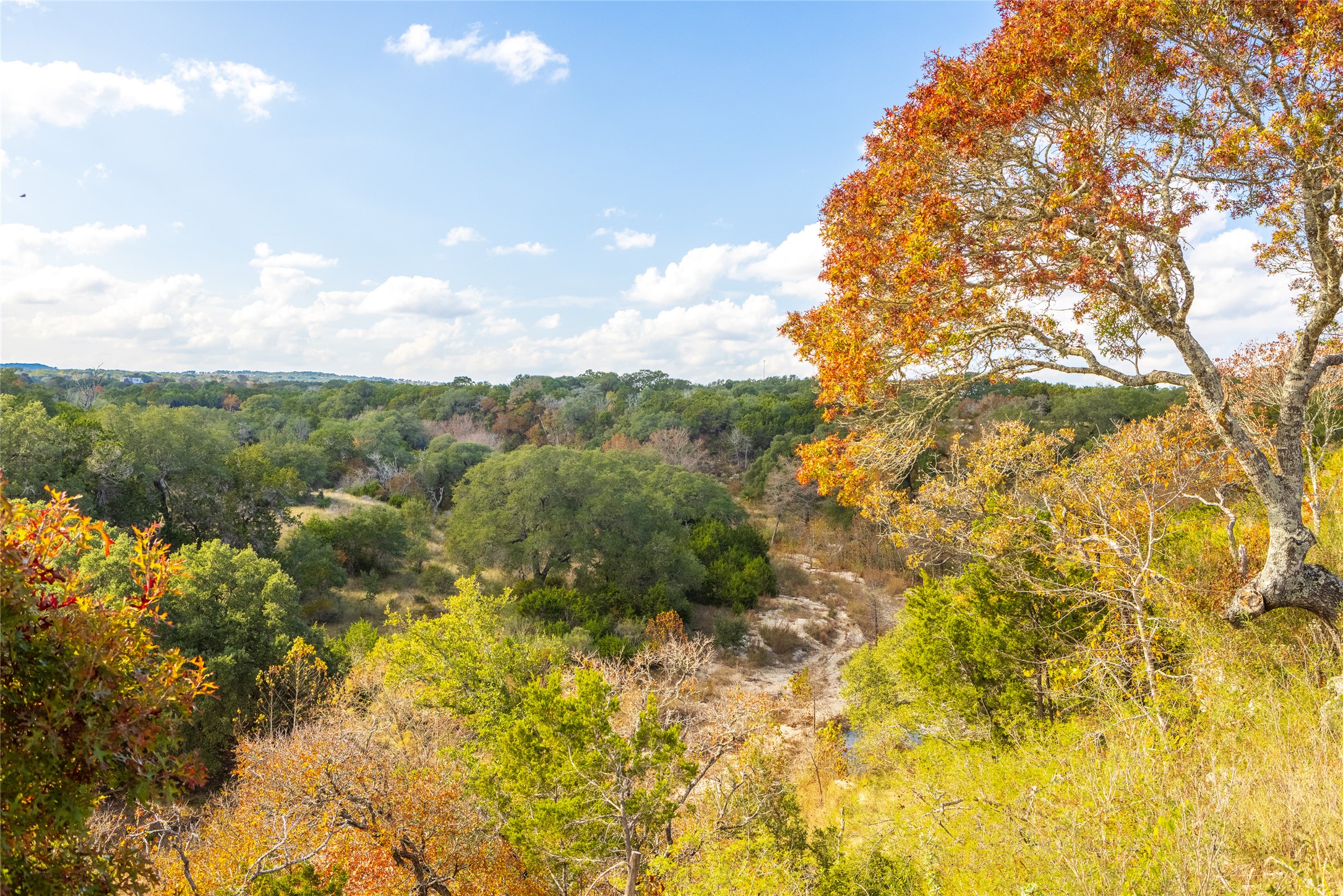 7301 Creek Road Dripping Springs, TX 78620 - Photo 13 of 22 a view of a bunch of trees and bushes