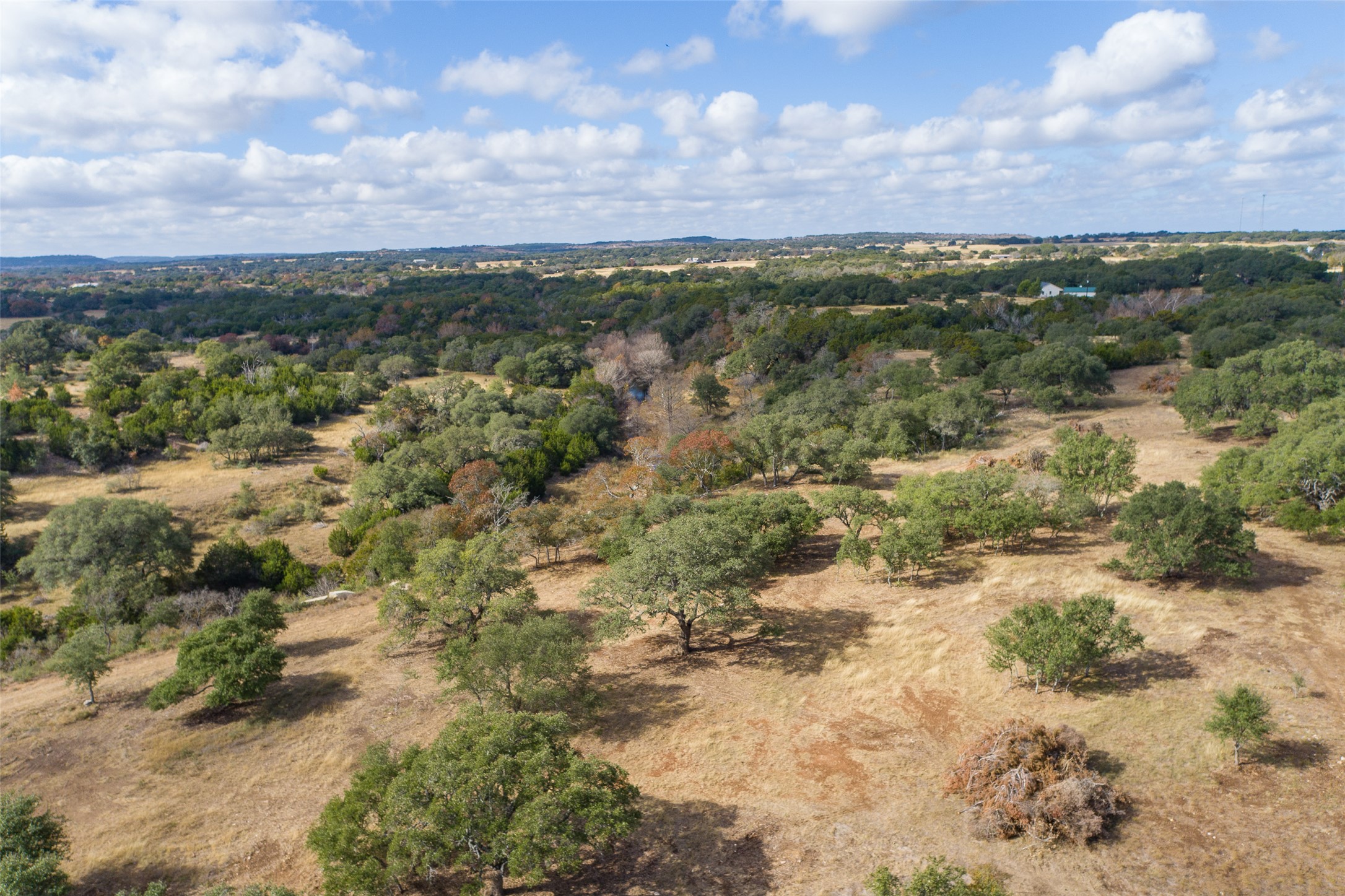 7301 Creek Road Dripping Springs, TX 78620 - Photo 18 of 22 a view of a yard with a lake