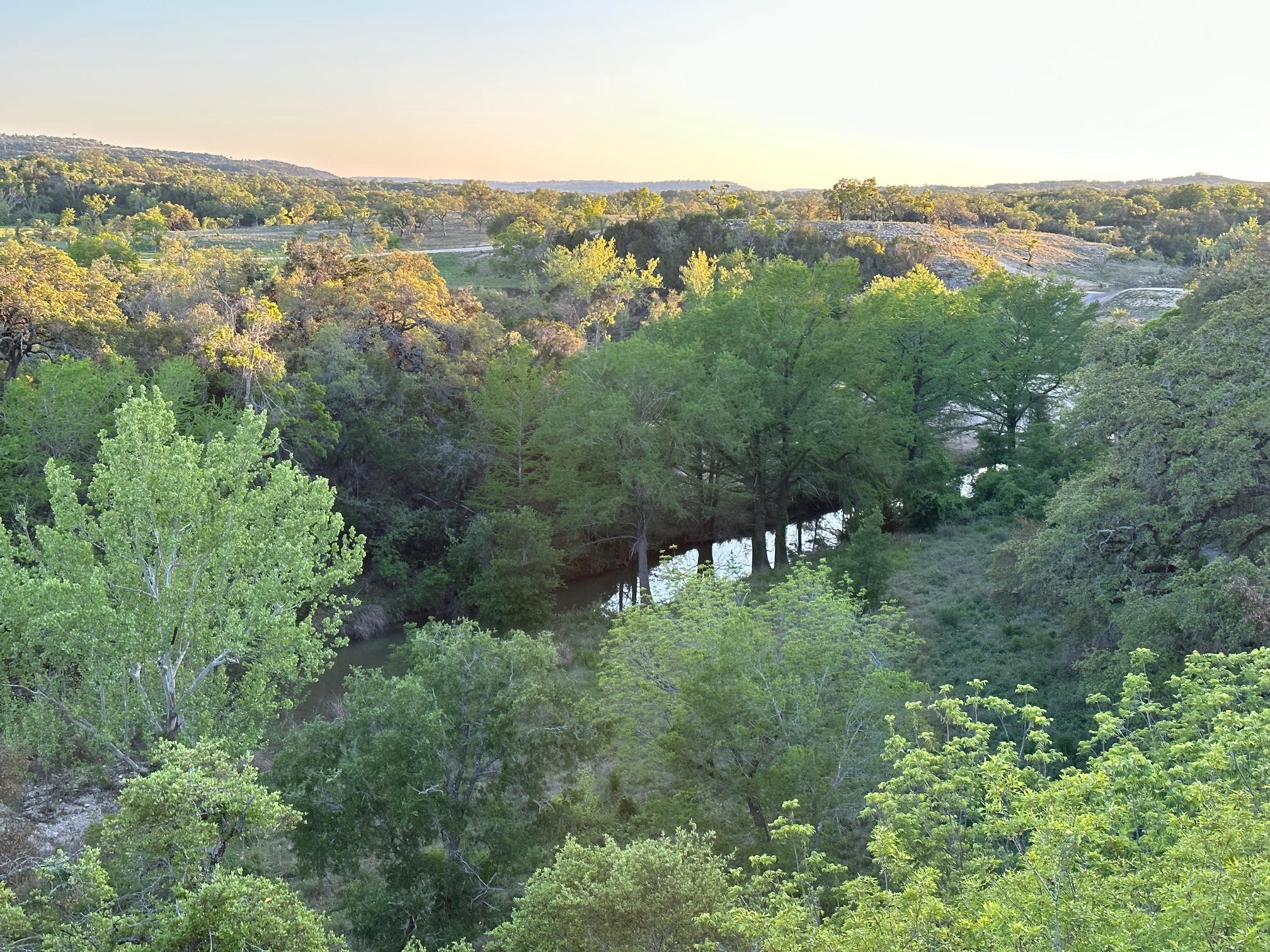 7301 Creek Road Dripping Springs, TX 78620 - Photo 2 of 22 an aerial view of residential houses with outdoor space and trees