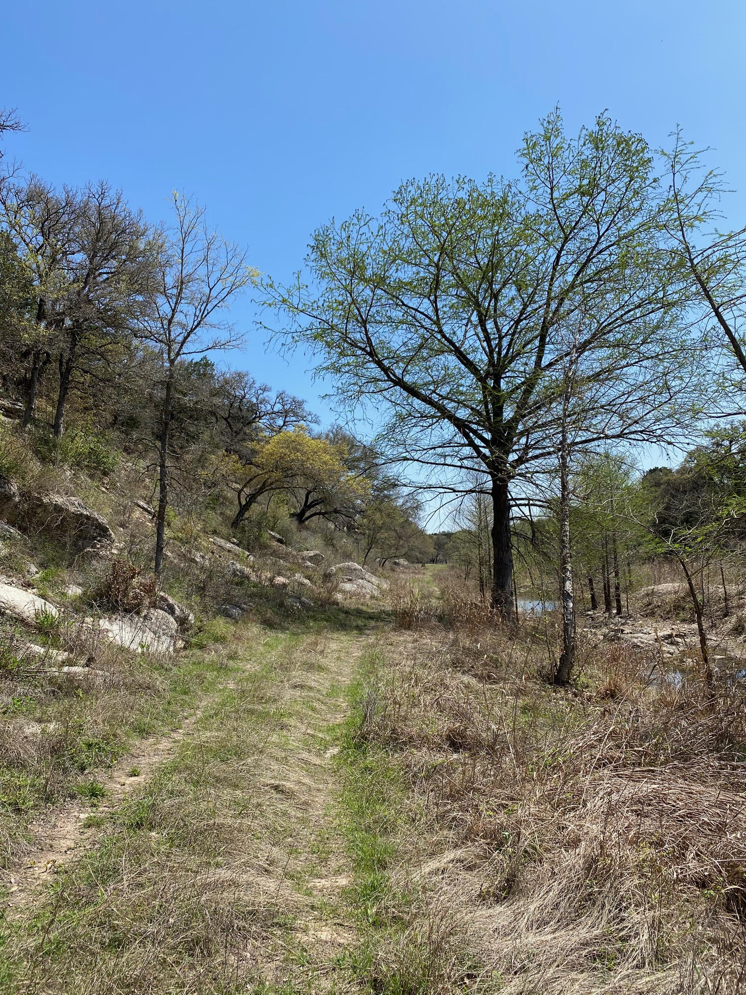 7301 Creek Road Dripping Springs, TX 78620 - Photo 22 of 22 a view of open space with green space