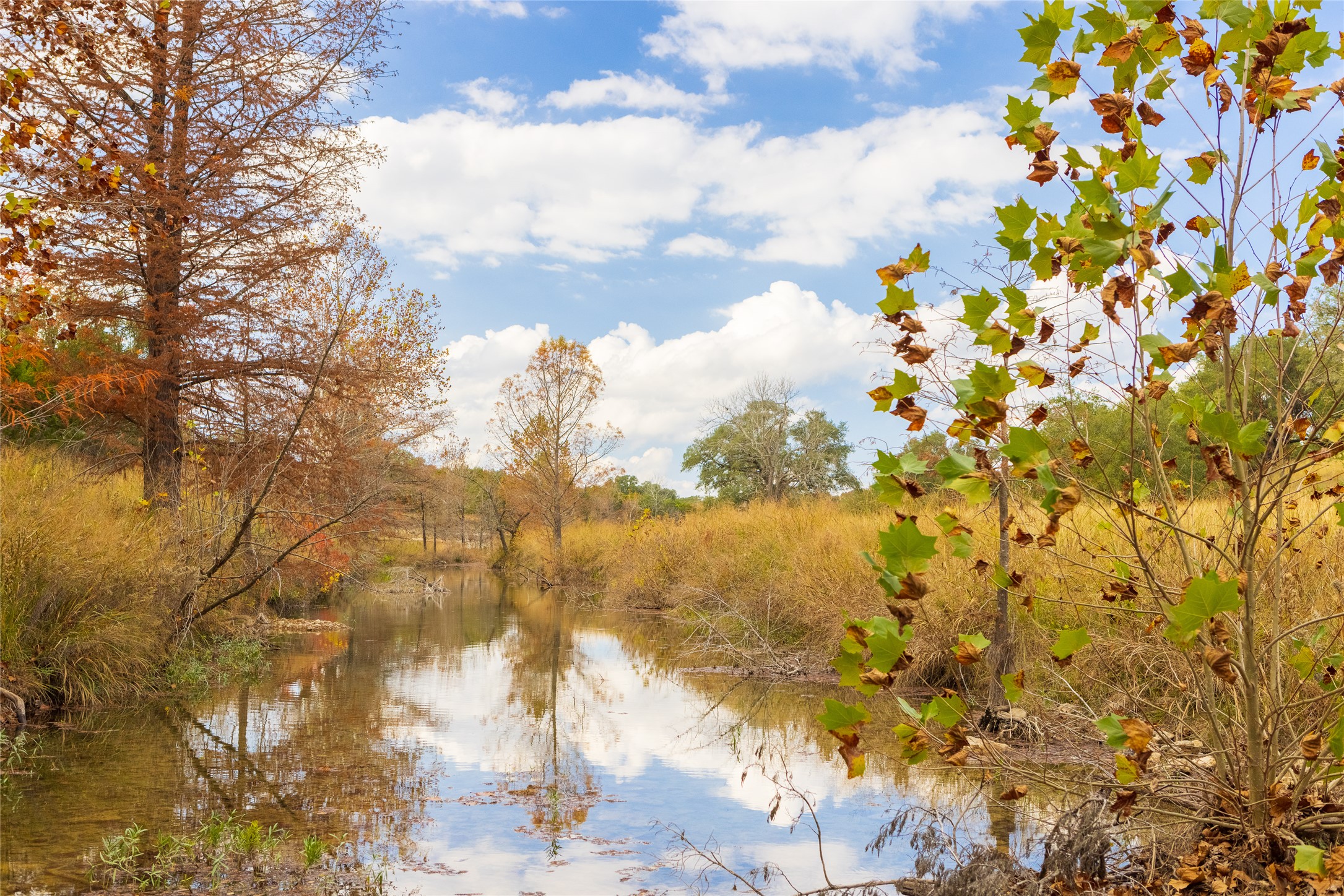 7301 Creek Road Dripping Springs, TX 78620 - Photo 3 of 22 a view of lake with a tree