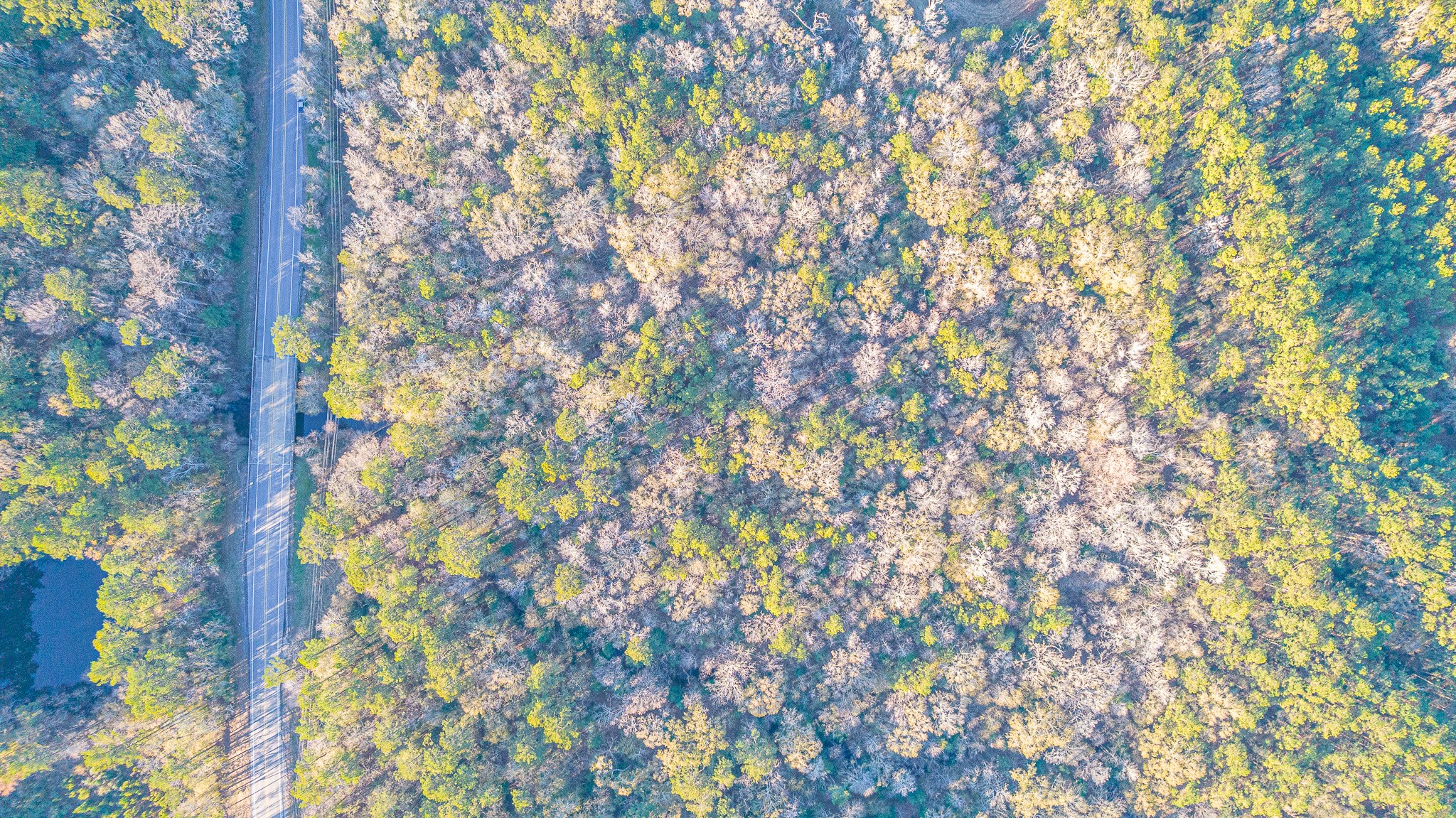 0 Fm 1003 Road Kountze, TX 77625 - Photo 11 of 18