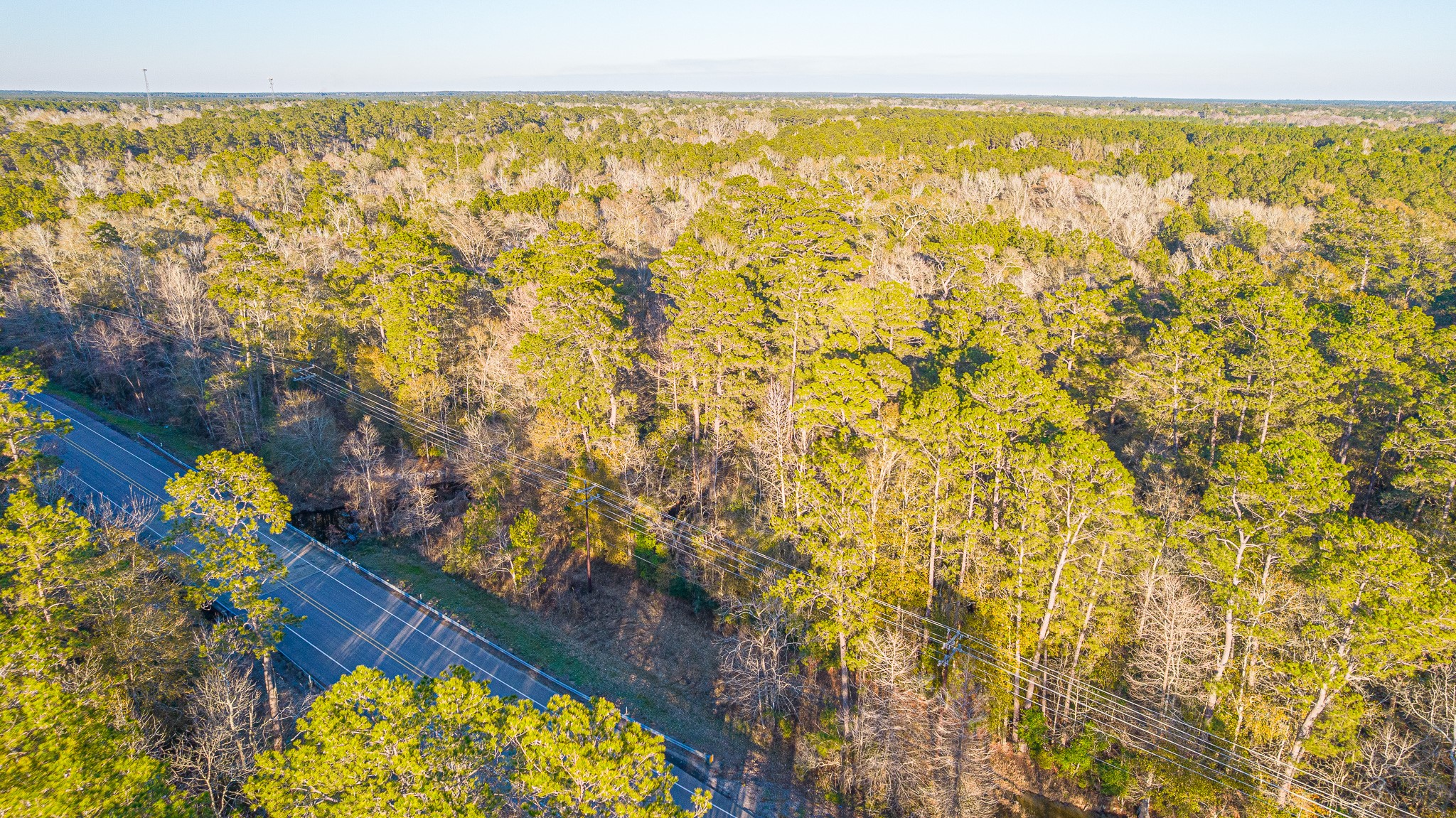 0 Fm 1003 Road Kountze, TX 77625 - Photo 12 of 18
