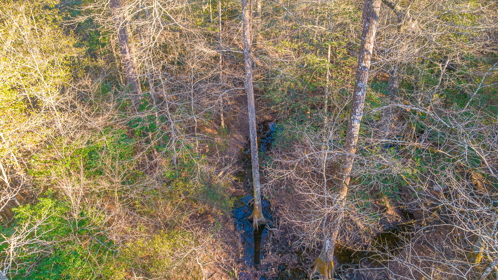 0 Fm 1003 Road Kountze, TX 77625 - Photo 15 of 18