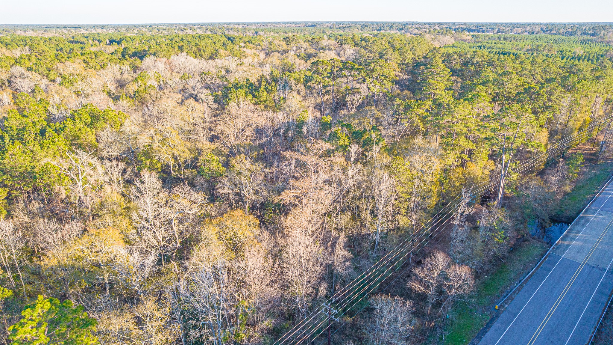 0 Fm 1003 Road Kountze, TX 77625 - Photo 17 of 18