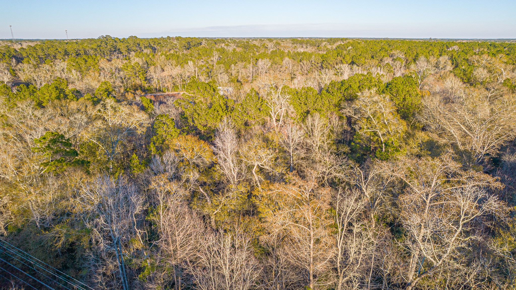 0 Fm 1003 Road Kountze, TX 77625 - Photo 18 of 18