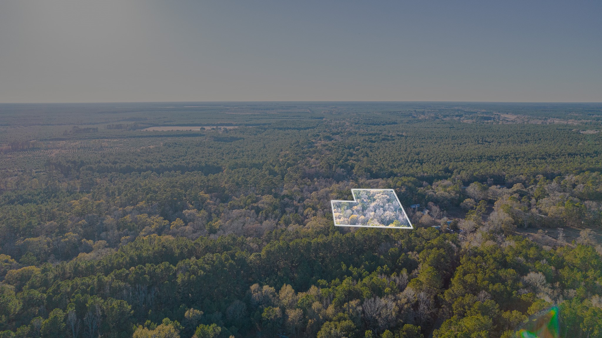 0 Fm 1003 Road Kountze, TX 77625 - Photo 4 of 18