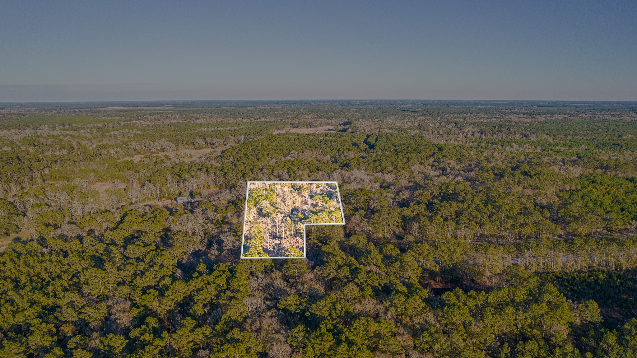 0 Fm 1003 Road Kountze, TX 77625 - Photo 5 of 18