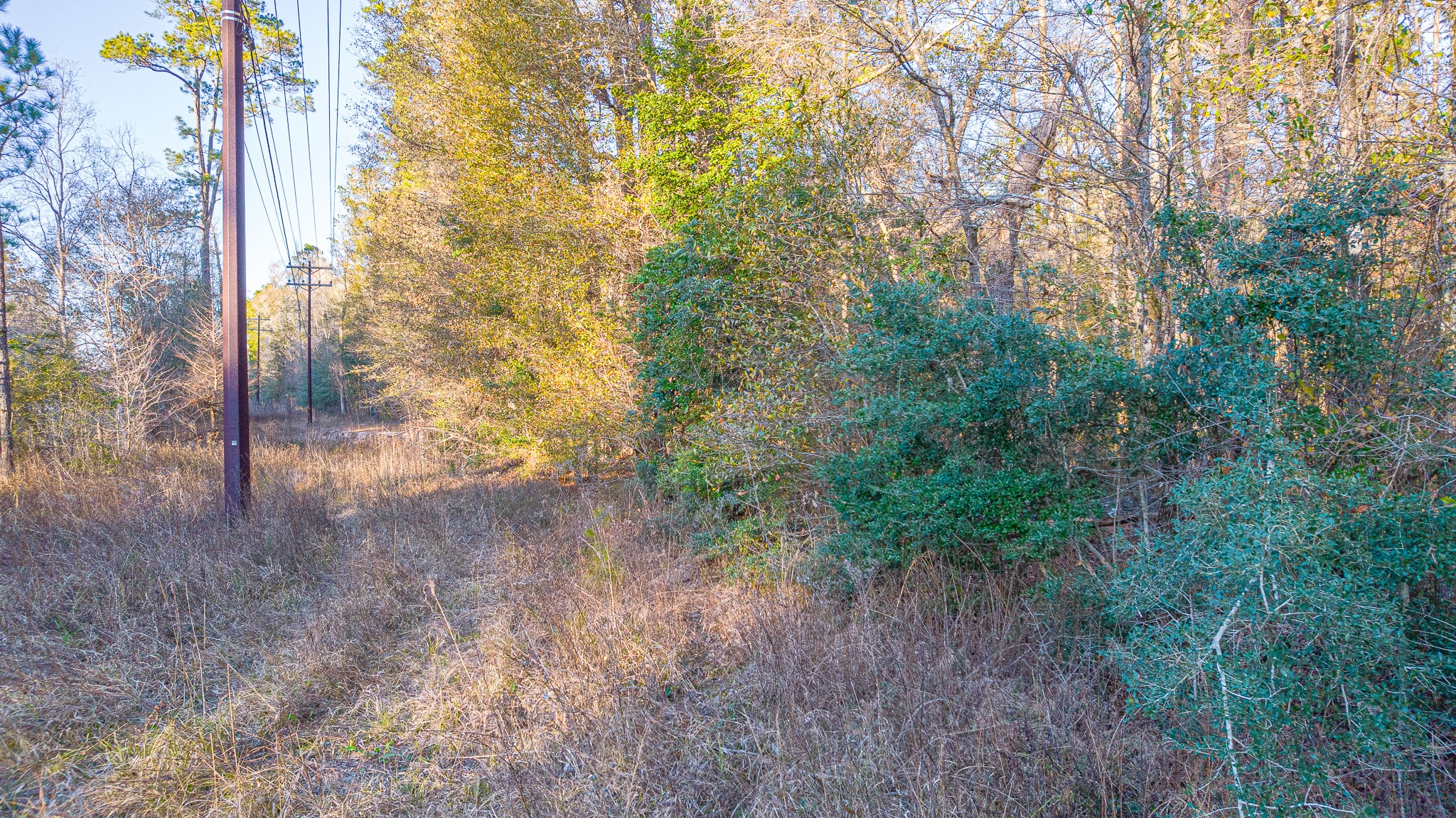 0 Fm 1003 Road Kountze, TX 77625 - Photo 8 of 18