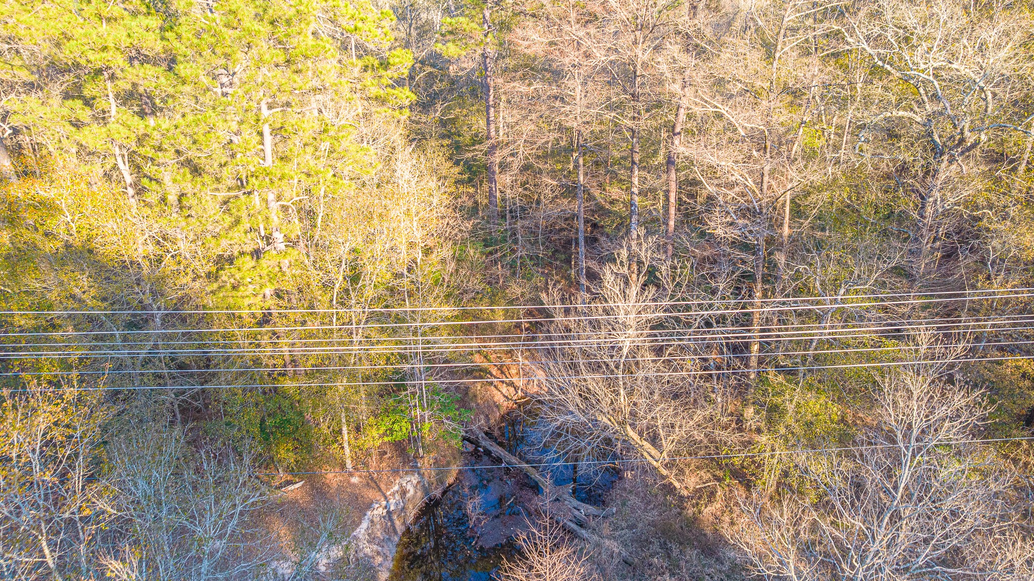 0 Fm 1003 Road Kountze, TX 77625 - Photo 9 of 18