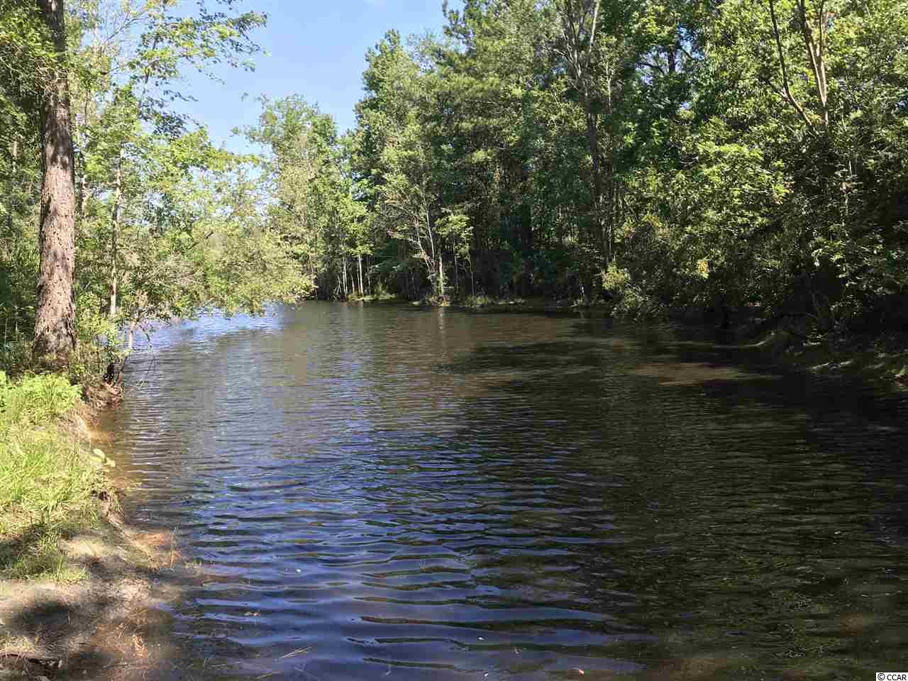 0 Tad Road Andrews, SC 29510 - Photo 1 of 2