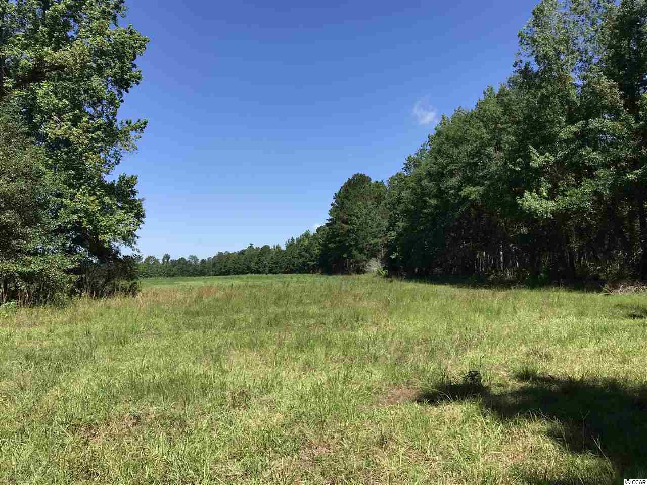 0 Tad Road Andrews, SC 29510 - Photo 2 of 2