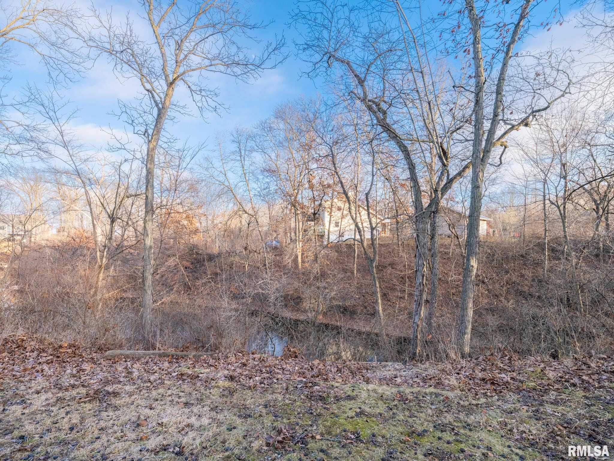 7108 Pueblo Drive Delavan, IL 61734 - Photo 8 of 21