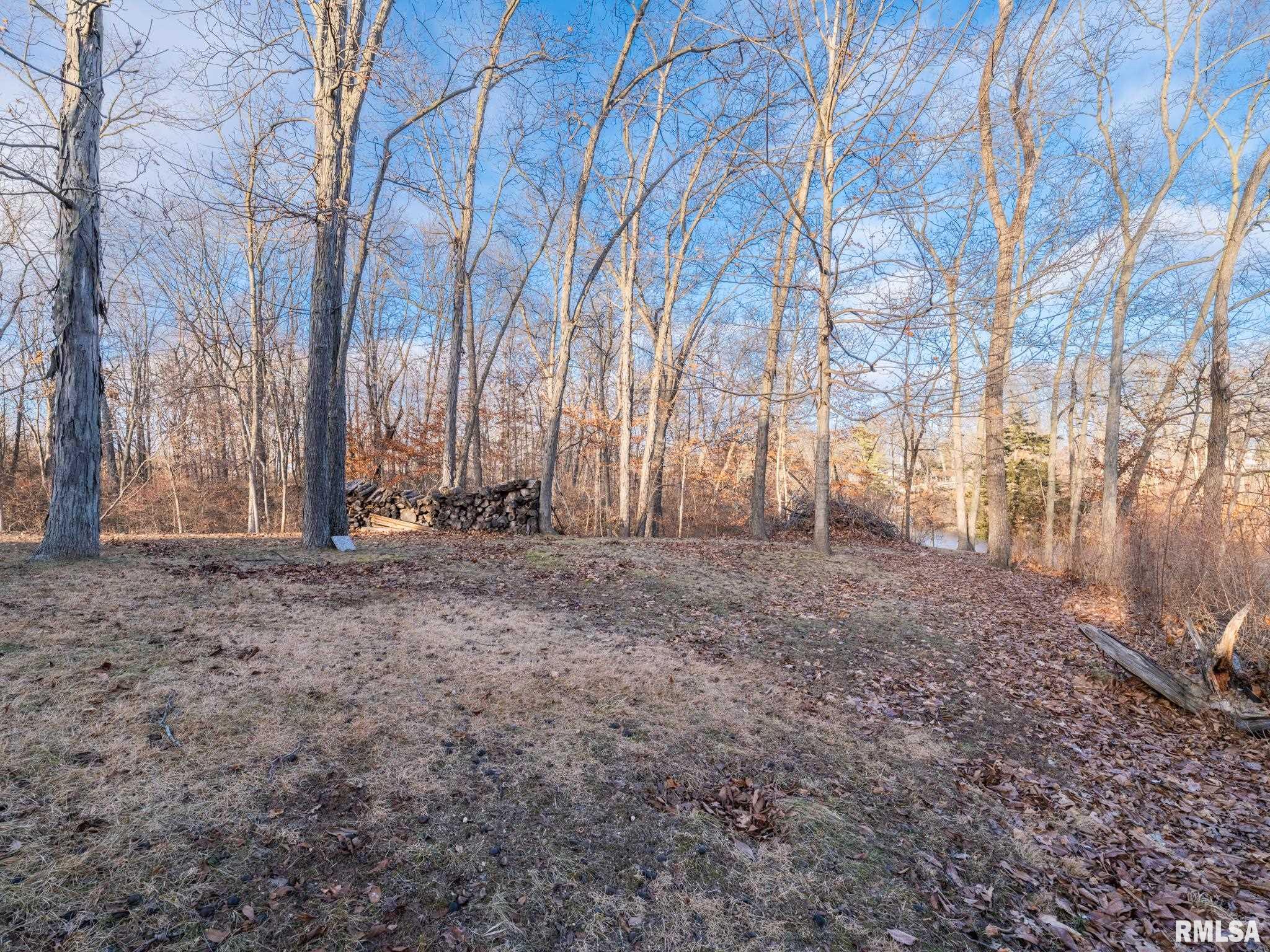 7108 Pueblo Drive Delavan, IL 61734 - Photo 9 of 21