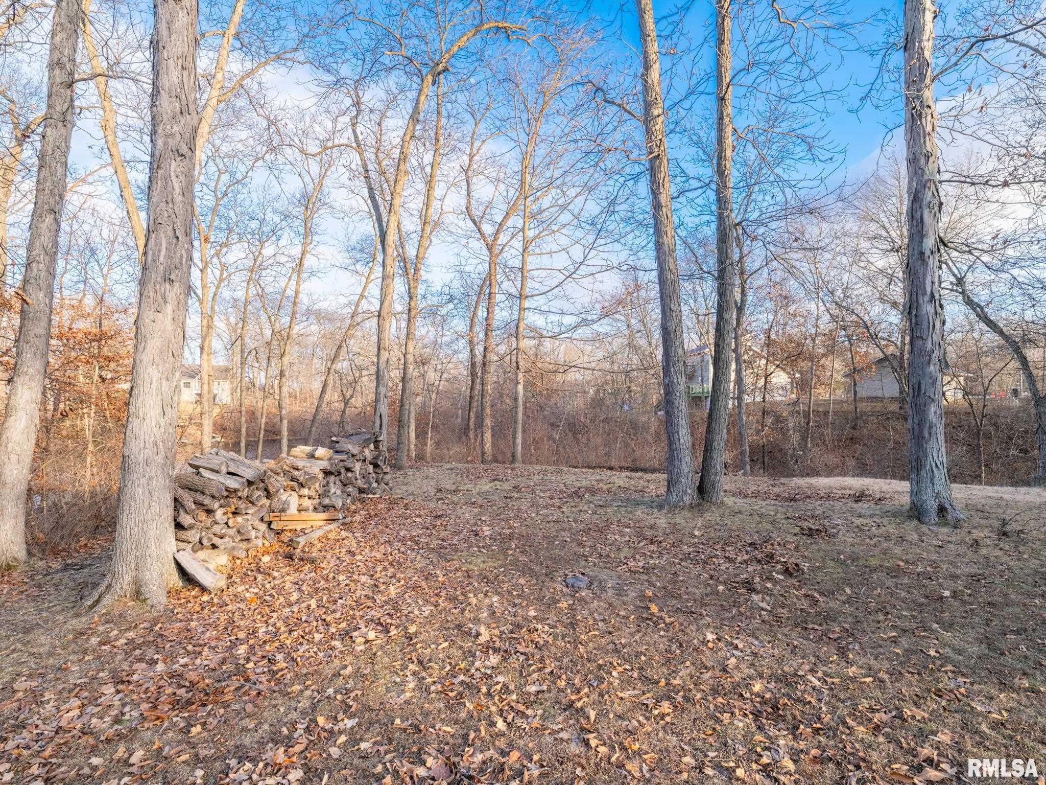 7108 Pueblo Drive Delavan, IL 61734 - Photo 10 of 21