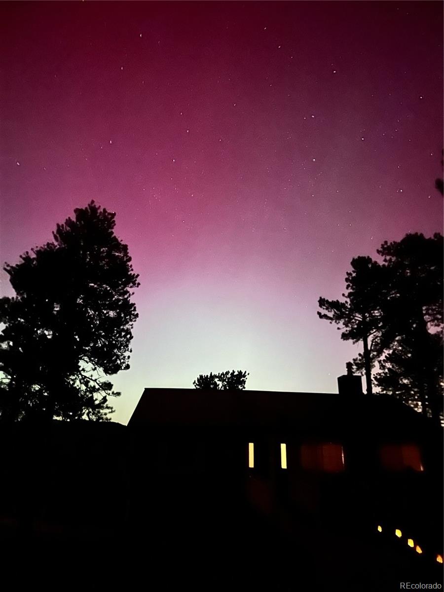 278 Overlook Drive Bailey, CO 80421 - Photo 33 of 37 a view of a yard in a city
