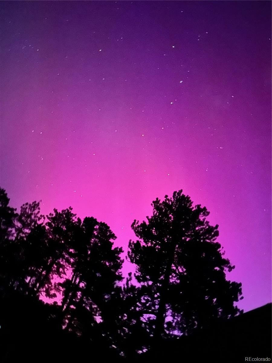 278 Overlook Drive Bailey, CO 80421 - Photo 34 of 37 a view of sunset and tree