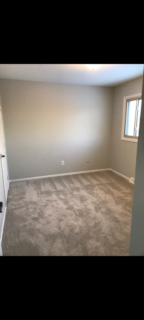 309 South Raven Road Shorewood, IL 60404 - Photo 9 of 19