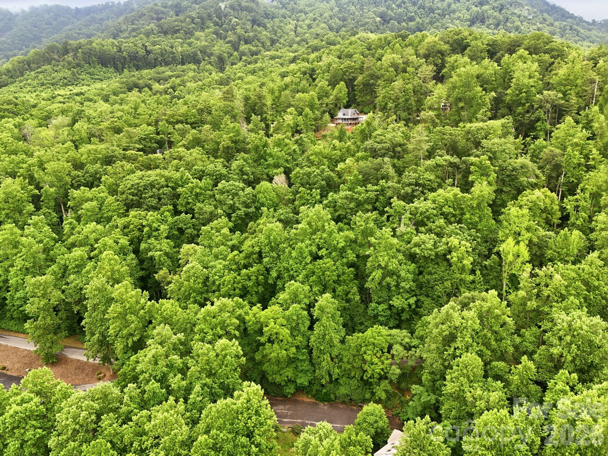 9999 Blue Ridge Drive South Marion, NC 28752 - Photo 9 of 17