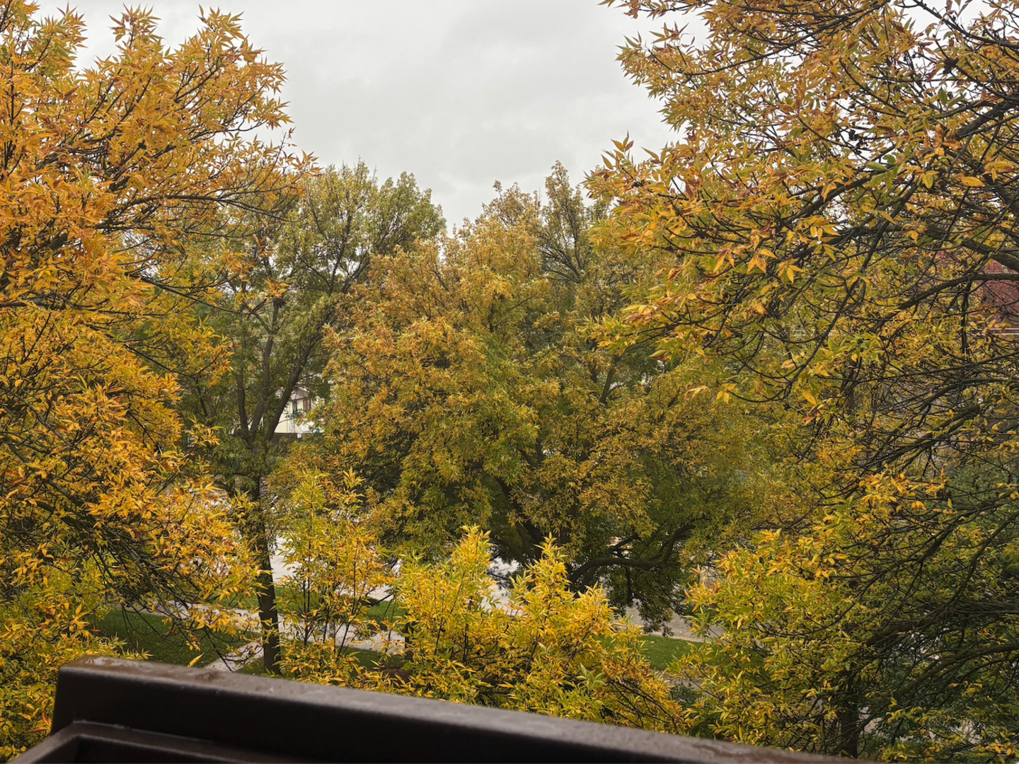 300 East Dundee Road, Unit 403A Buffalo Grove, IL 60089 - Photo 25 of 28