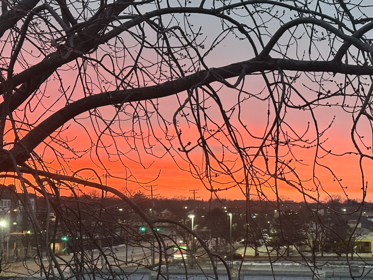 300 East Dundee Road, Unit 403A Buffalo Grove, IL 60089 - Photo 26 of 28