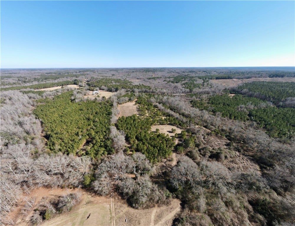 0 Brazell Road Camp Hill, AL 36850 - Photo 14 of 24 Gallery Image 14
