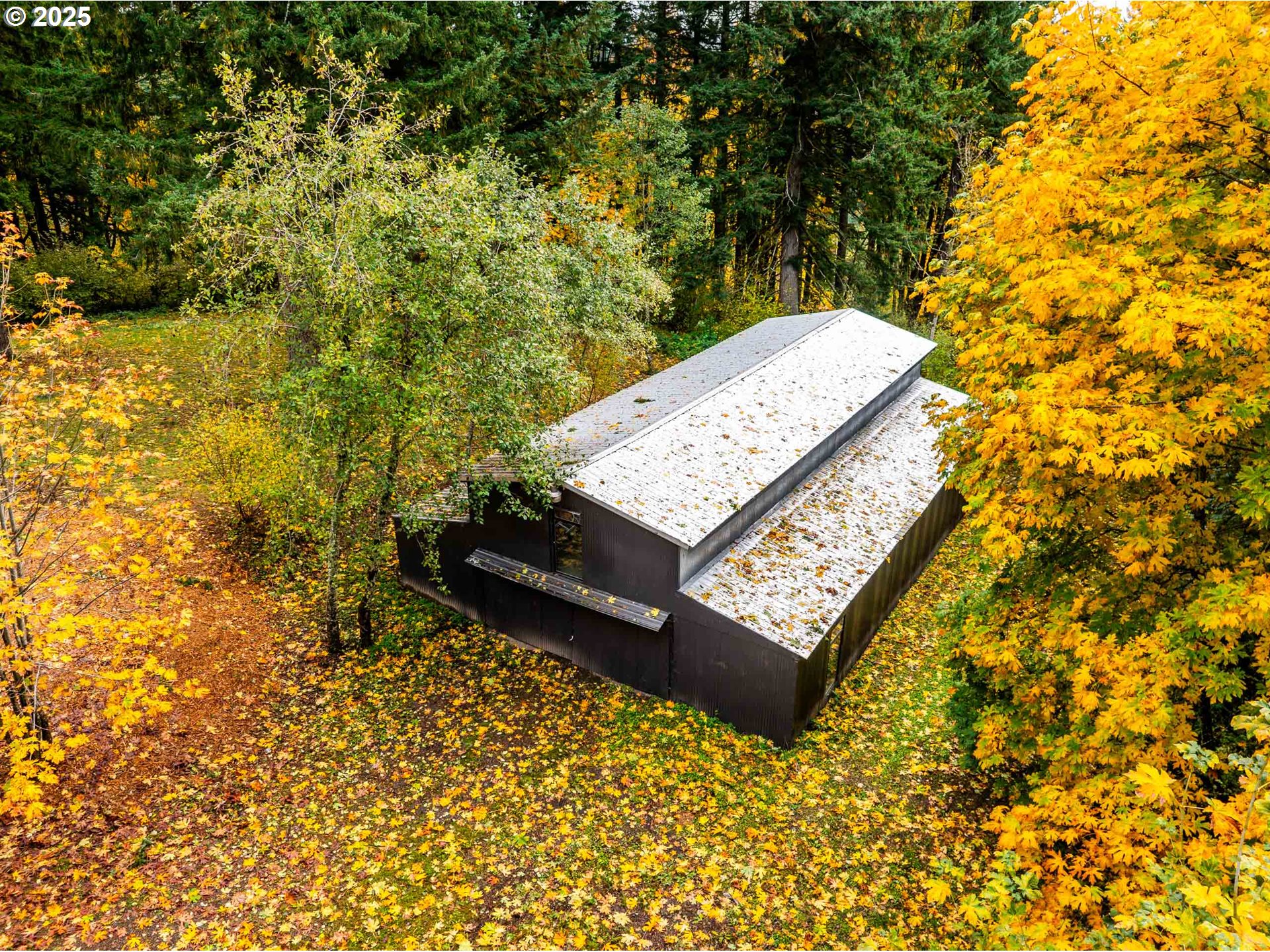 42600 East Larch Mountain Road Corbett, OR 97019 - Photo 42 of 48