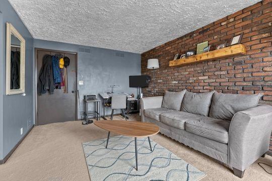 259 Republic Street Pittsburgh, PA 15211 - Photo 16 of 25 a living room with furniture and a fireplace
