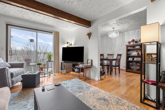 259 Republic Street Pittsburgh, PA 15211 - Photo 5 of 25 a living room with furniture and a flat screen tv