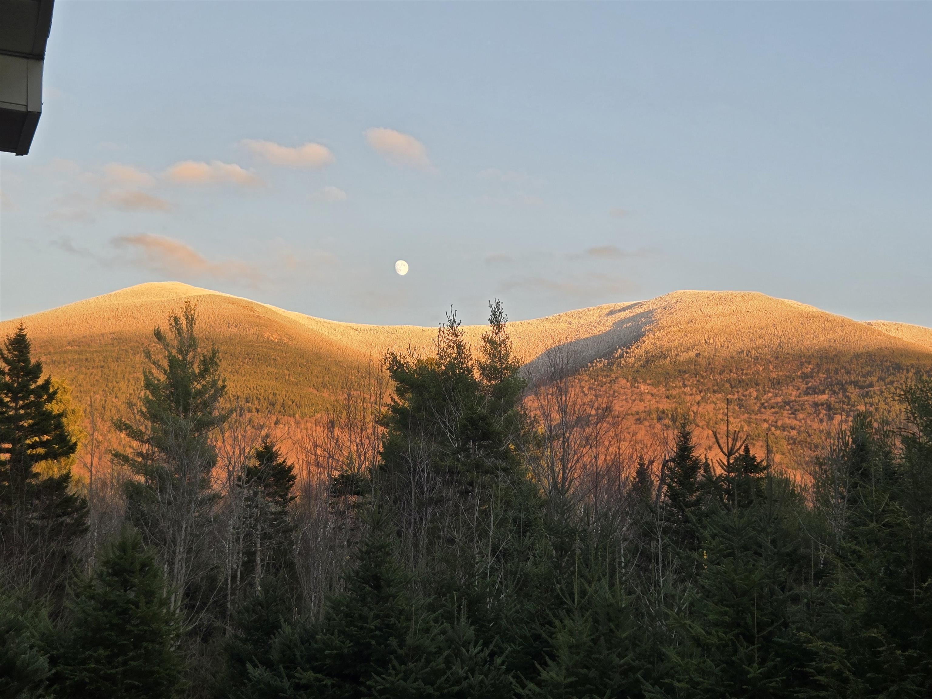 1591 Easton Valley Road Easton, NH 03580 - Photo 32 of 54
